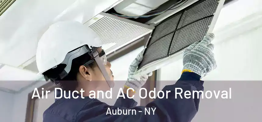 Air Duct and AC Odor Removal Auburn - NY