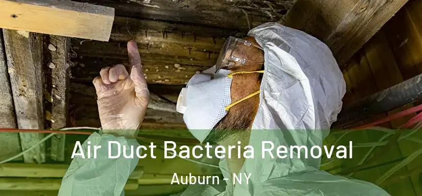 Air Duct Bacteria Removal Auburn - NY