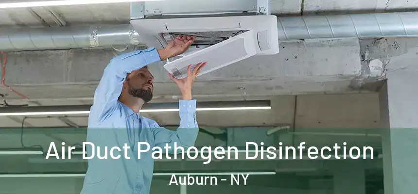 Air Duct Pathogen Disinfection Auburn - NY