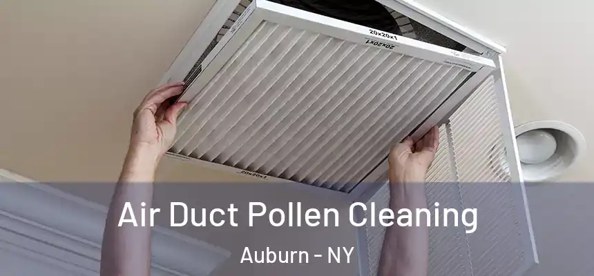 Air Duct Pollen Cleaning Auburn - NY
