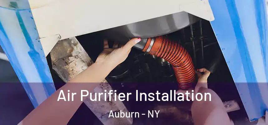Air Purifier Installation Auburn - NY