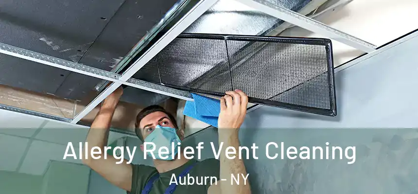  Allergy Relief Vent Cleaning Auburn - NY