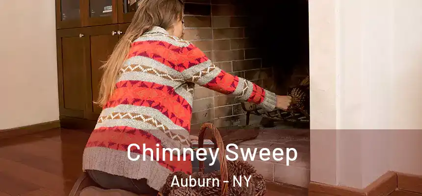 Chimney Sweep Auburn - NY