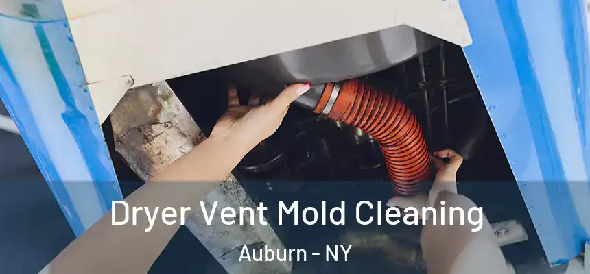  Dryer Vent Mold Cleaning Auburn - NY