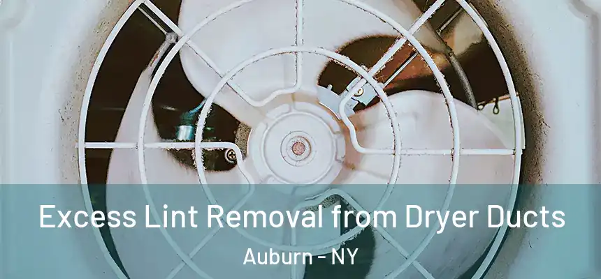 Excess Lint Removal from Dryer Ducts Auburn - NY