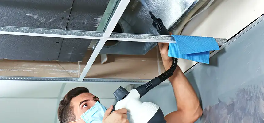Our Air Duct Rodent Removal Services in Auburn, NY