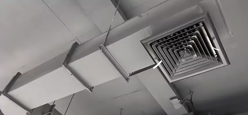 Our Pest Removal From Ducts Services in Auburn, NY