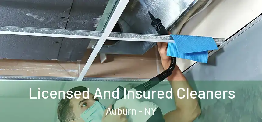  Licensed And Insured Cleaners Auburn - NY