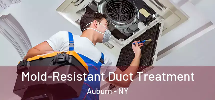 Mold-Resistant Duct Treatment Auburn - NY