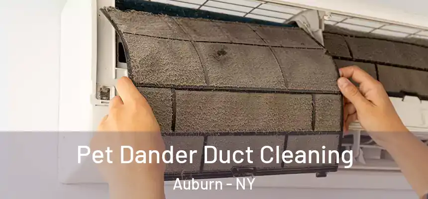  Pet Dander Duct Cleaning Auburn - NY