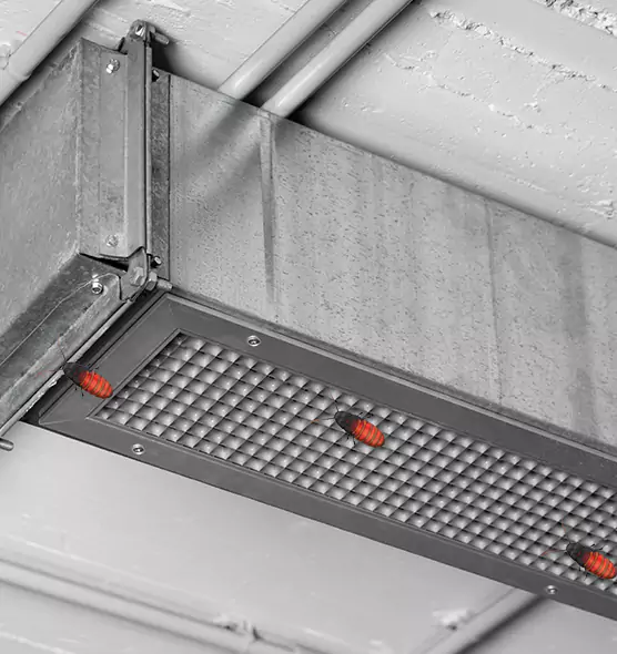 About Air Duct Cockroach Removal in Auburn, NY