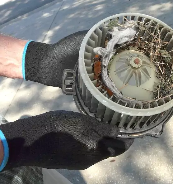 About Air Duct Rat Removal in Auburn, NY