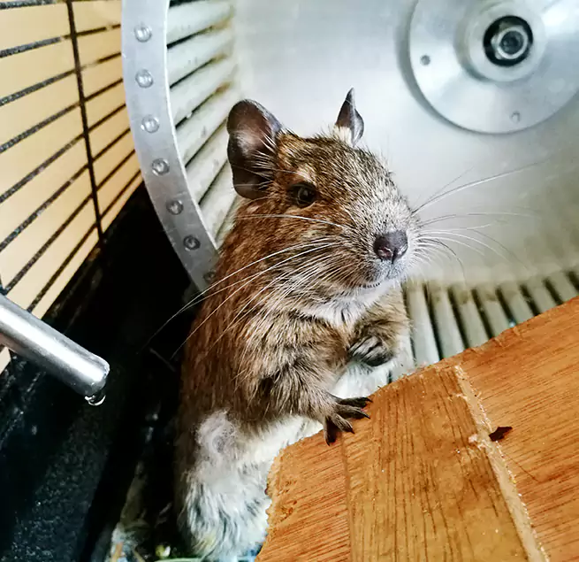 Why Homeowners & Businesses Trust Us Auburn, NY