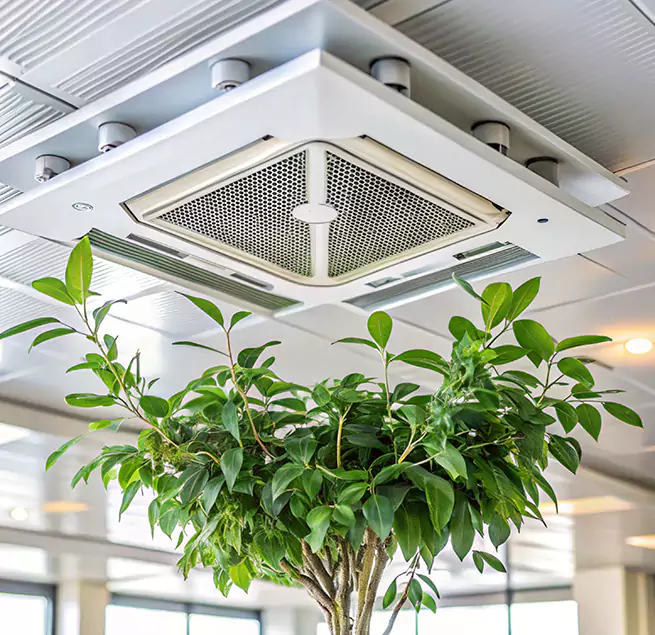 Why Homeowners & Businesses Trust Us in Auburn, NY?